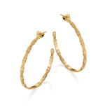 Stability Hoops