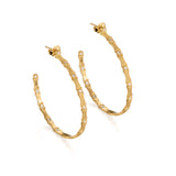 Diamond Stability Hoop