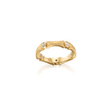 Diamond Stability Ring