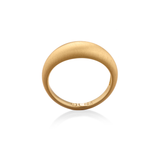 Fairy Dust Satin Ring