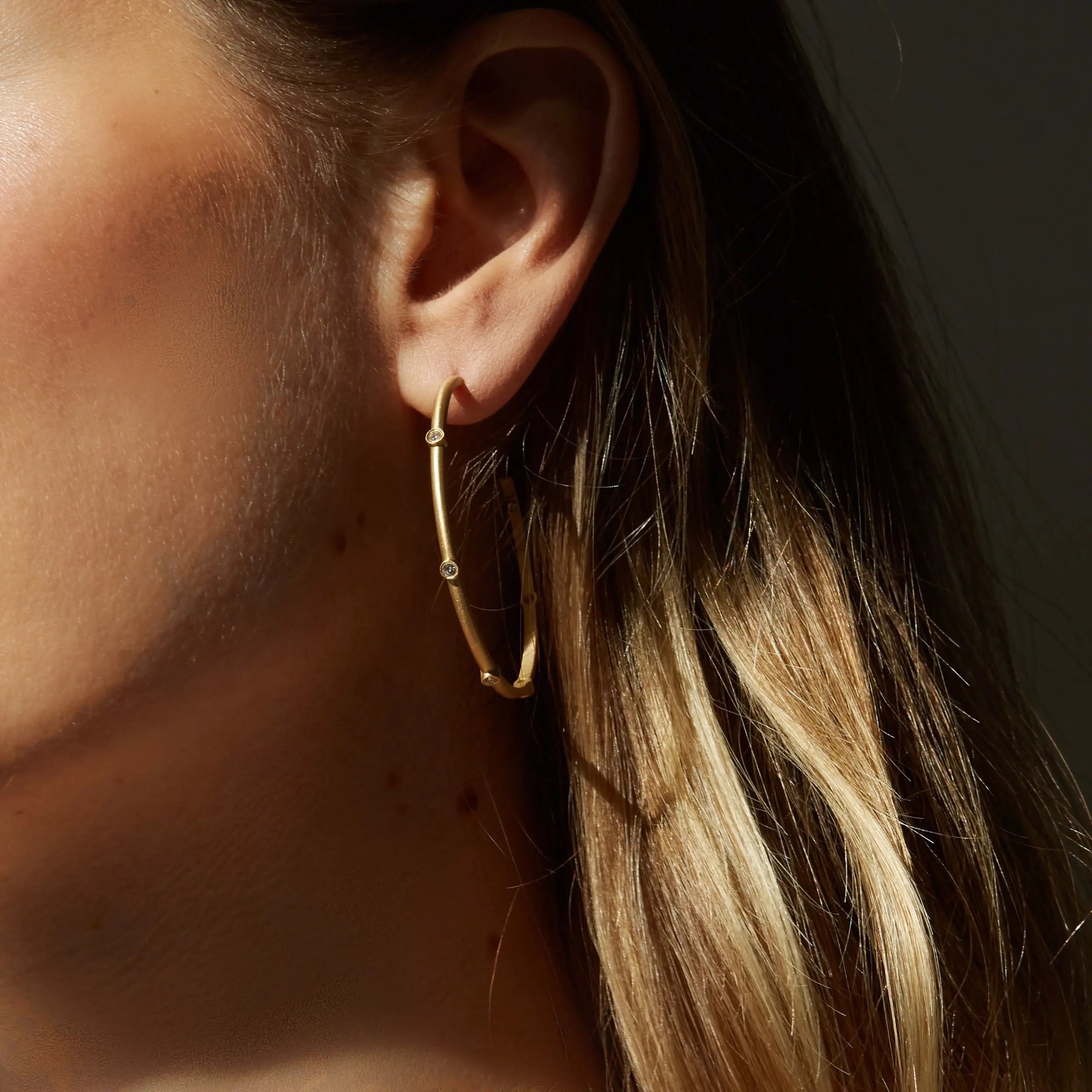 Elizabeth Moore Circle OF Fifth's Diamond Hoops Model Picture